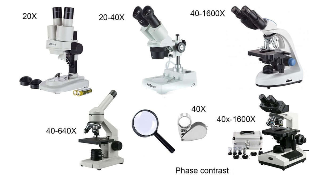 Types of microscope and their uses