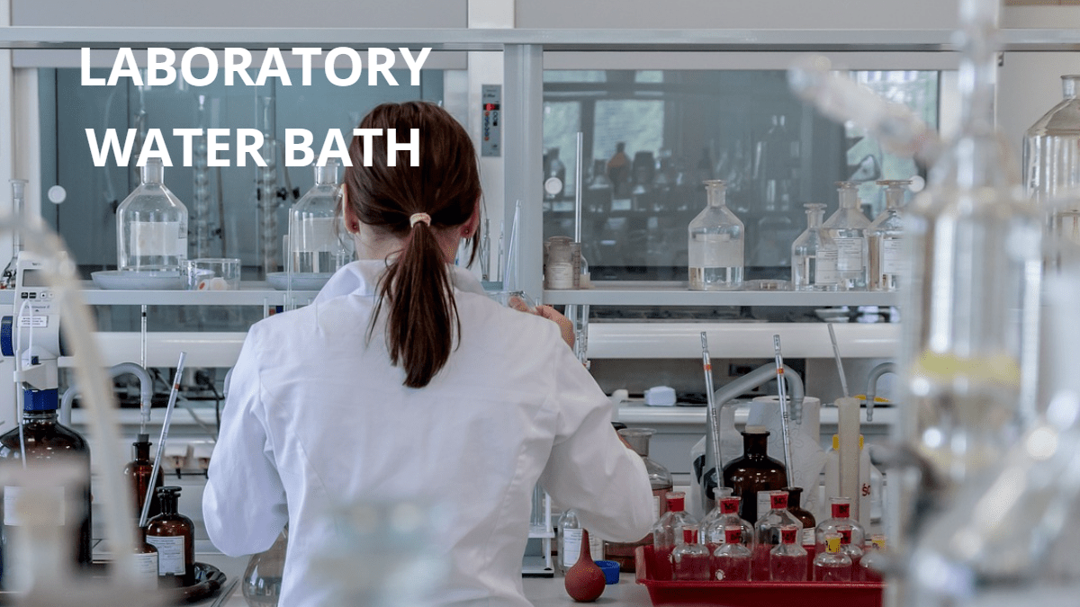 10 Top Water Bath Uses for Cooking and Science - laboratorydeal