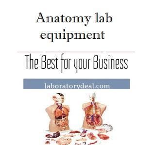 Anatomy lab equipment