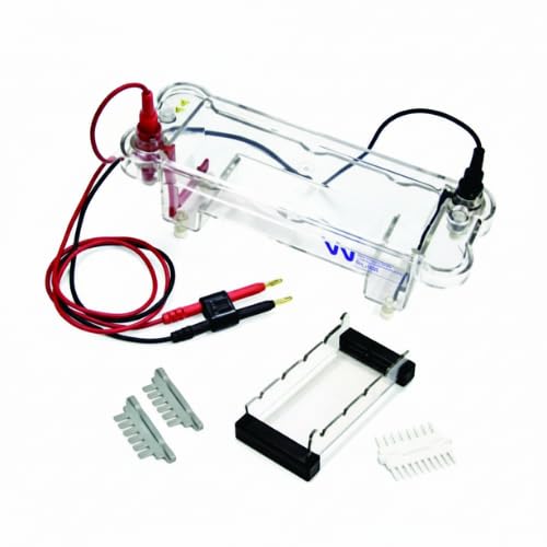 Electrophoresis Vertical Mini-Gel System Protein & DNA Gel Electrophoresis Apparatus Laboratory Equipment for Biomolecule Separation