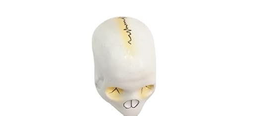 Human skull Full Size Anatomy,Cranial bones,Skeletal system,Skull model