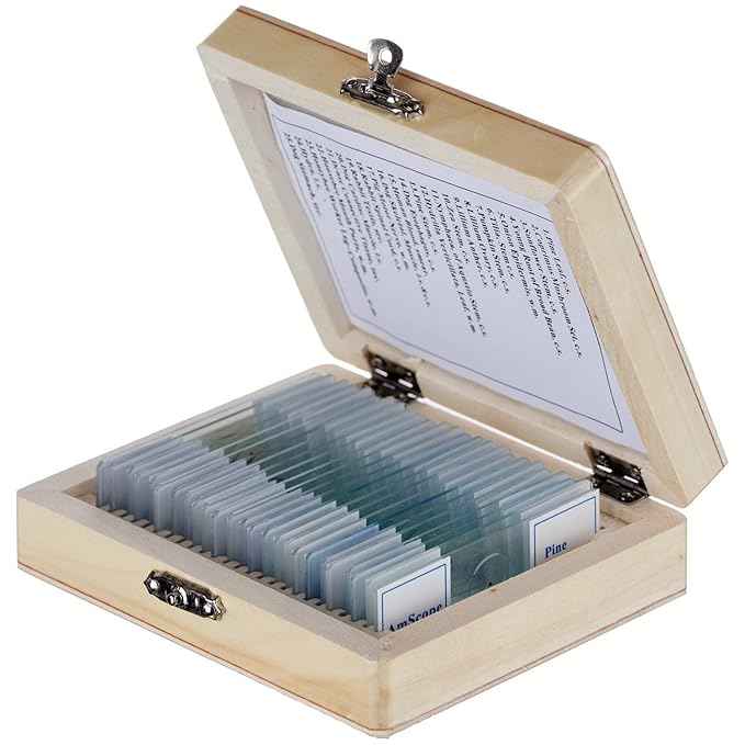 Slide Box with 25 Prepared Slides of Botany biology