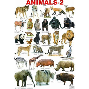 25 Fun Educational Toys for First Graders - Activity Kit for 1st class - laboratorydeal