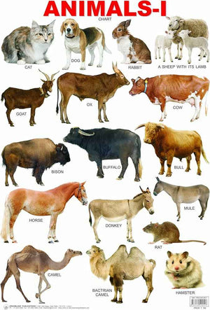 25 Fun Educational Toys for First Graders - Activity Kit for 1st class - laboratorydeal