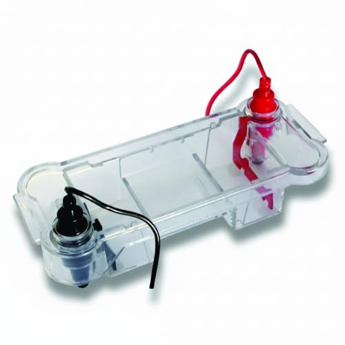 Electrophoresis Horizontal Mini-Gel System DNA & Protein Gel Electrophoresis Apparatus Laboratory Equipment for Molecular Biology, Genetic Analysis