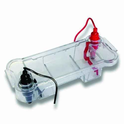 Electrophoresis Horizontal Mini-Gel System DNA & Protein Gel Electrophoresis Apparatus Laboratory Equipment for Molecular Biology, Genetic Analysis