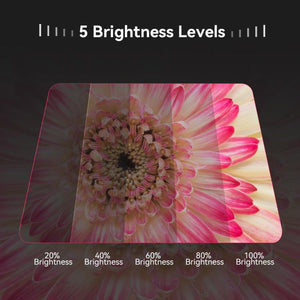 APEXEL APL - FL26 Jewelry Food Still Life Tri - color 9 - speed Slim Ring Macro Photography Fill Light, APL - FL26 - laboratorydeal