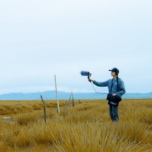 Deity V - Mic D3 Directional Condenser Shotgun Microphone, V - Mic D3 - laboratorydeal