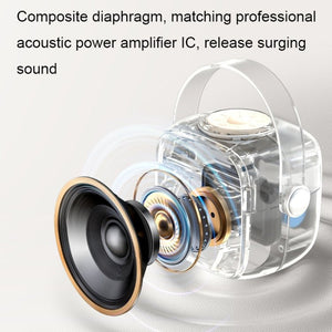 Havit P1 Portable Singing Home Wireless Bluetooth Speaker Microphone Set, Dual - microphone - laboratorydeal