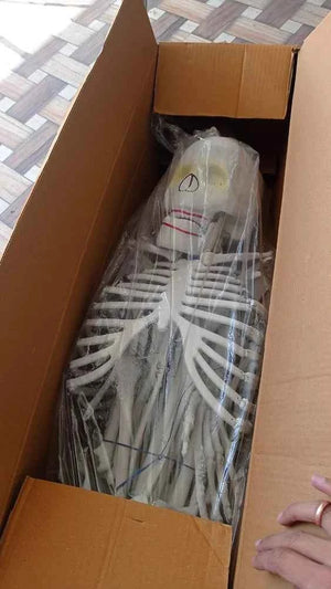 Human Skeleton Model with stand - Laboratorydeal