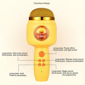 ICARER FAMILY F816 Karaoke Microphone Speaker Home Bluetooth Wireless Microphone - laboratorydeal