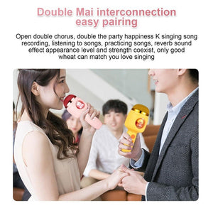 ICARER FAMILY F816 Karaoke Microphone Speaker Home Bluetooth Wireless Microphone - laboratorydeal