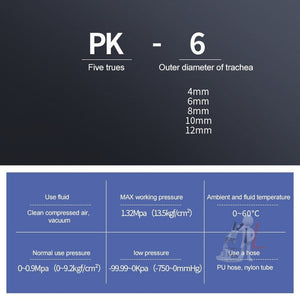 LAIZE 10pcs Plastic Five Port Pneumatic Quick Fitting Connector, PK-4, PK-6, PK-8, PK-10, PK-12