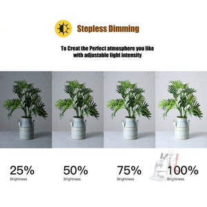 MANTOO RL - 12 II 100 - 240V 28W 12 inch Two - color Dimmable Ring Fill Light with Tripod, 12 inch - laboratorydeal