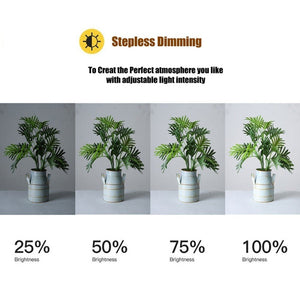 MANTOO RL - 18 II 100 - 240V 55W 18 inch Two - color Dimmable Ring Fill Light with Tripod, 18 inch - laboratorydeal