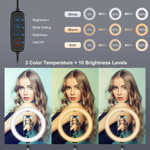 PULUZ 10.2 inch 26cm Light + 1.65m Tripod Mount Curved Surface USB 3 Modes Dimmable Dual Color Temperature Ring Vlogging Video Light Live Broadcast Kits with Phone Clamp & Selfie Remote Control, 10.2 inch+1.65m Tripod - laboratorydeal