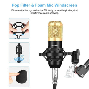 PULUZ Condenser Microphone Studio Broadcast Professional Singing Microphone - laboratorydeal