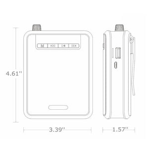 Rolton K300 Portable Voice Amplifier Supports FM Radio/MP3, Purple, Green, Black, Orange - laboratorydeal
