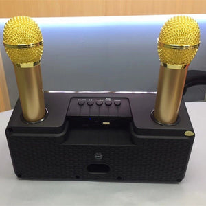 SDRD SD - 301 2 in 1 Family KTV Portable Wireless Live Dual Microphone + Bluetooth Speaker - laboratorydeal