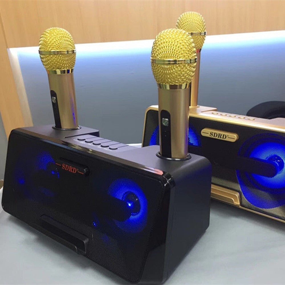 SDRD SD - 301 2 in 1 Family KTV Portable Wireless Live Dual Microphone + Bluetooth Speaker - laboratorydeal
