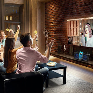 SDRD SD - 301 2 in 1 Family KTV Portable Wireless Live Dual Microphone + Bluetooth Speaker - laboratorydeal