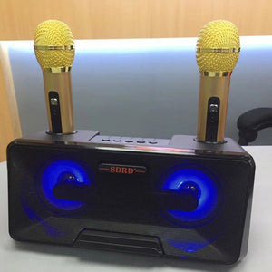 SDRD SD - 301 2 in 1 Family KTV Portable Wireless Live Dual Microphone + Bluetooth Speaker - laboratorydeal