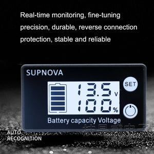 SUPNOVA LCD Two-wire Voltage and Electricity Meter DC Digital Display Voltmeter, Blue laboratorydeal
