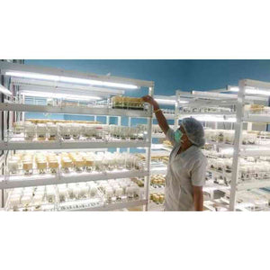 Tissue Culture Lab Equipment Supplier - Leading Manufacturer Supplier in - Laboratorydeal