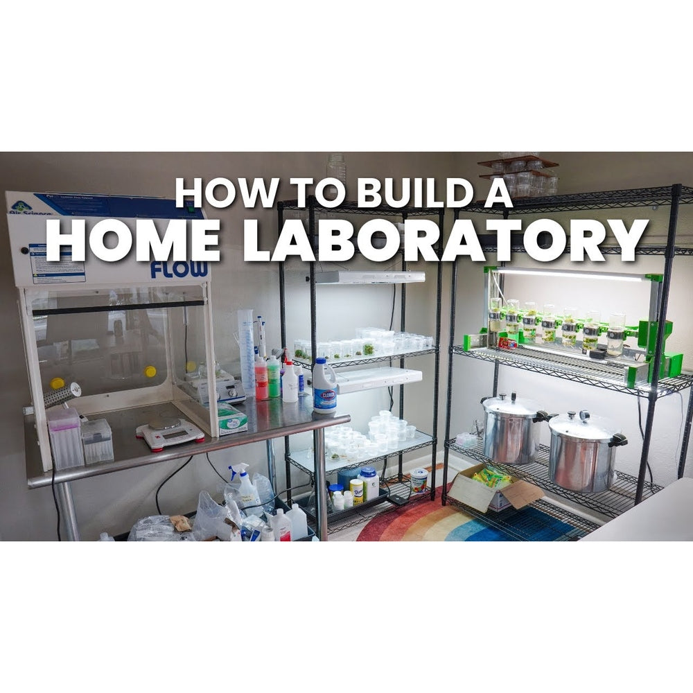 Tissue Culture Lab Equipment Supplier - Leading Manufacturer Supplier in - Laboratorydeal