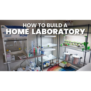 Tissue Culture Lab Equipment Supplier - Leading Manufacturer Supplier in - Laboratorydeal