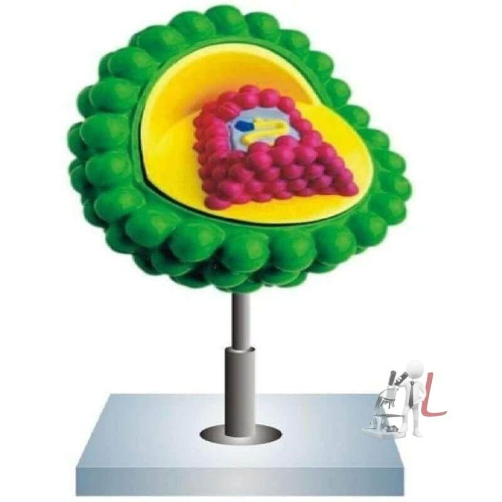 Aids Virus - Laboratorydeal