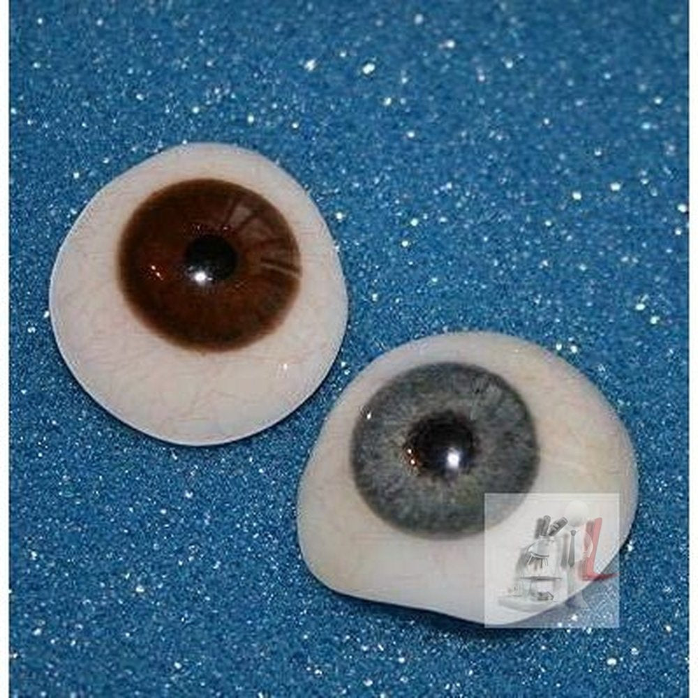 Artificial Eye, Artificial Eye Price - Laboratorydeal