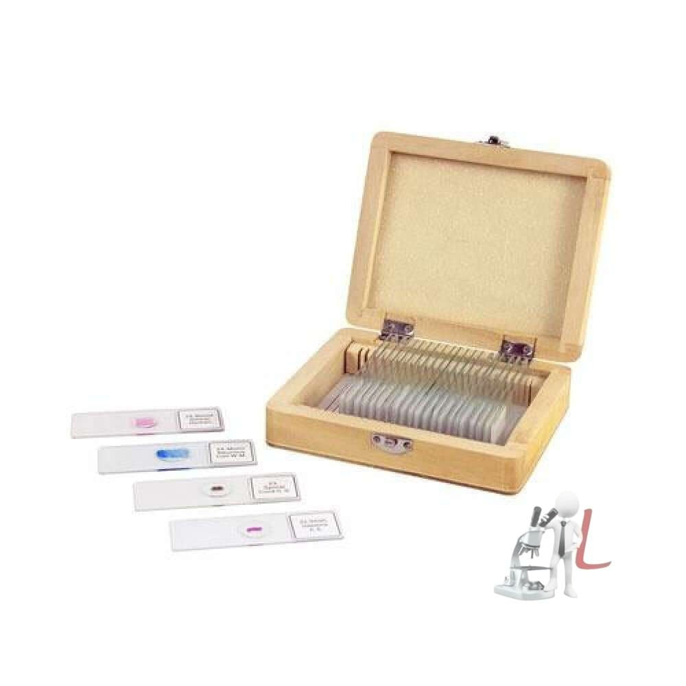 BOTANY PERMANENT MICRO-PREPARED SLIDES - Laboratorydeal