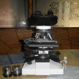 Binocular Microscope 101