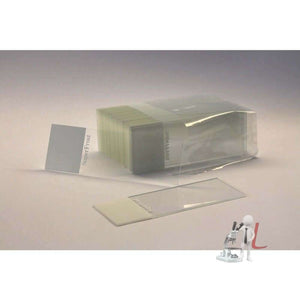 Botany Permanent Slide price - Laboratorydeal