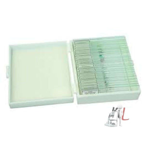 Botany Permanent Slide price - Laboratorydeal
