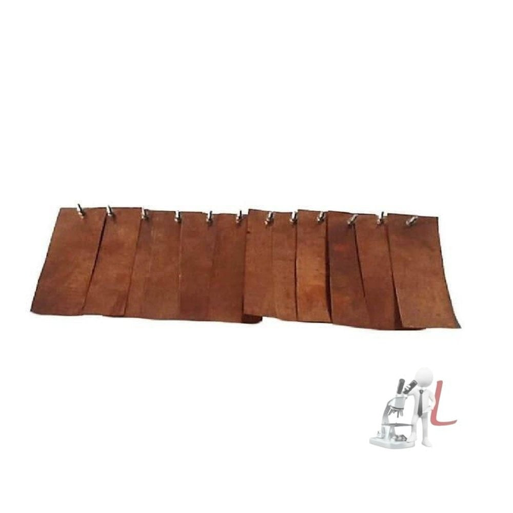Copper Plate With Terminal - Pack of 12 - Laboratorydeal