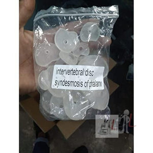 Disarticulated Skeleton Human (IMP.), Disarticulated Bone Set - Laboratorydeal