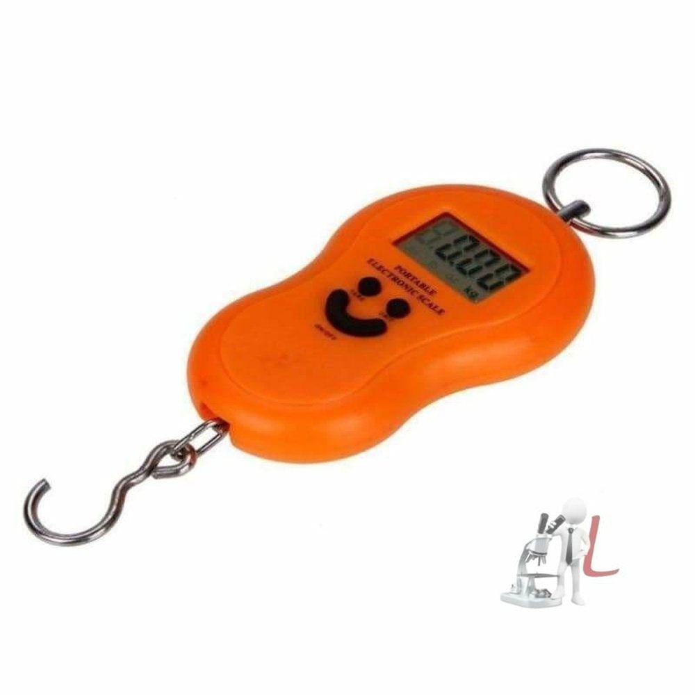 ELECTRONIC SCALE 'DIGITAL' - Laboratorydeal