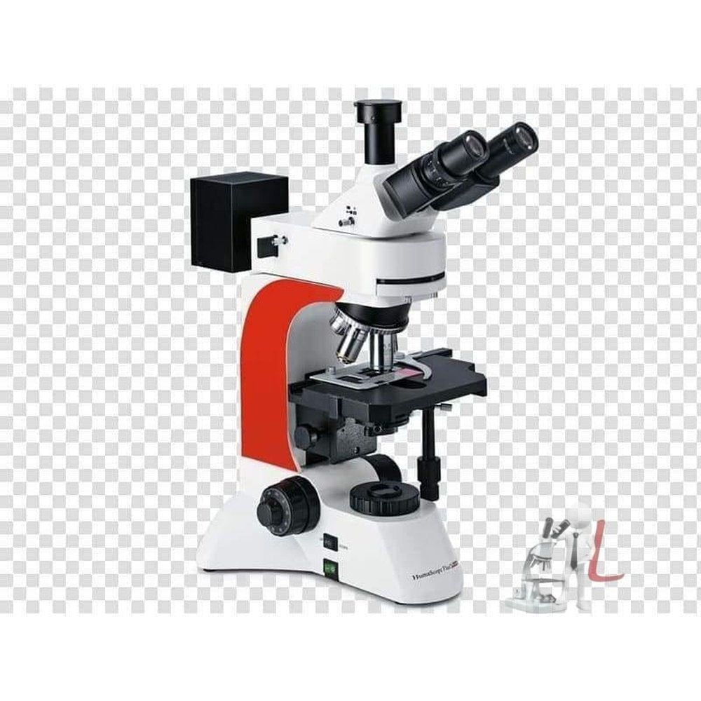 Fluorescent Microscope -B - Laboratorydeal