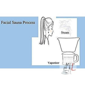 Generic All-in-One Steamer, Inhaler, Vaporizer for Nose, Pain Relief, Cold, Cough, Health & Beauty, Facial Steamer, Nozzle Inhaler, Nose Vaporizer (Made in India) - Laboratorydeal