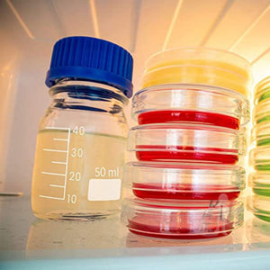 Glass Reagent Bottles Borosilicate with GL-32 Screw Cap (50 ML, 2) - Laboratorydeal