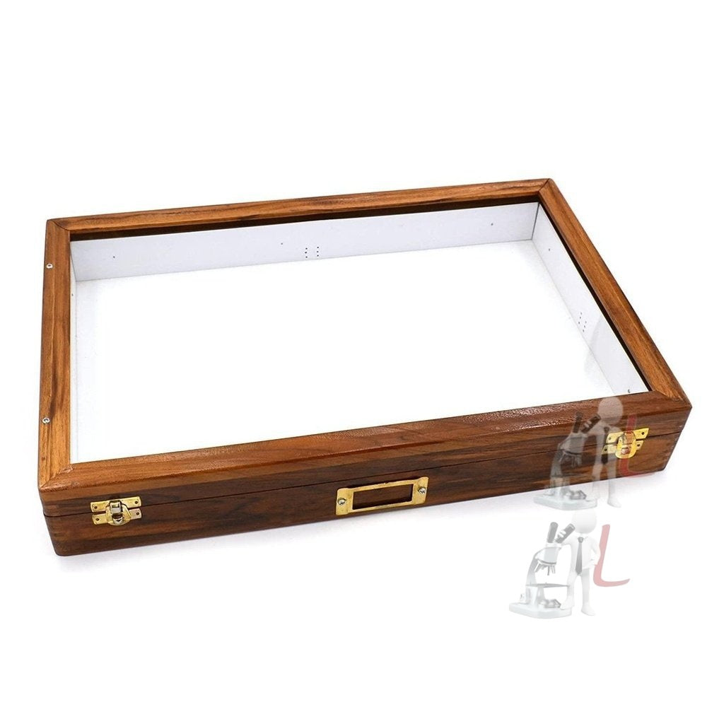 Insect Storage Box - Laboratorydeal