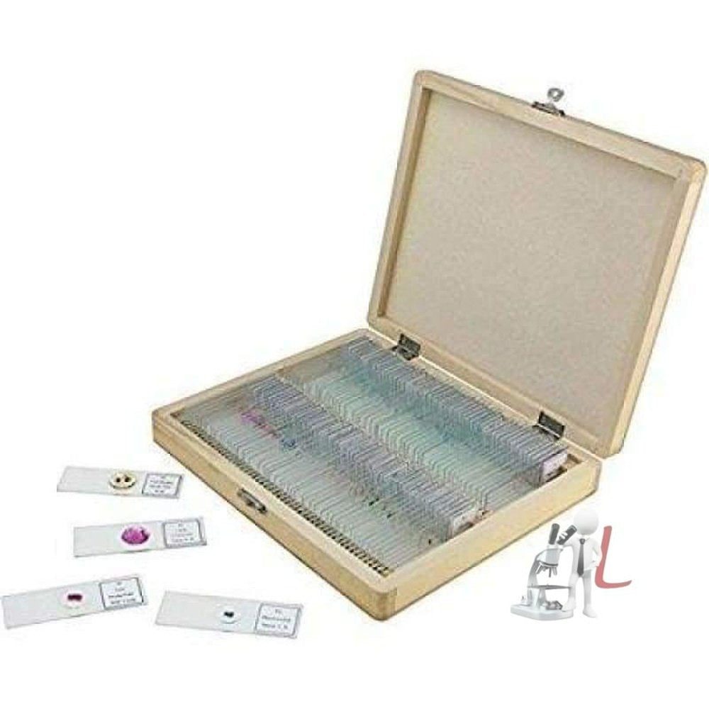 Microscope Prepared Slides for Basic Biological Science Education, 50 Slides in Wooden Case - Laboratorydeal