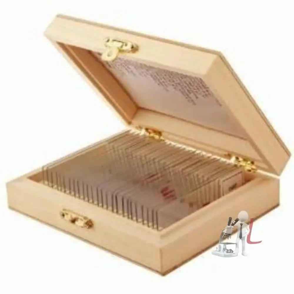Microscope Slide Storage Box for Organized Microscope Slide Storage - Laboratorydeal