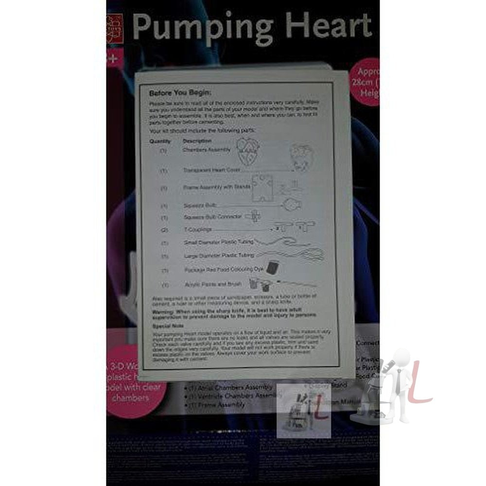 Pumping Heart Model - Laboratorydeal