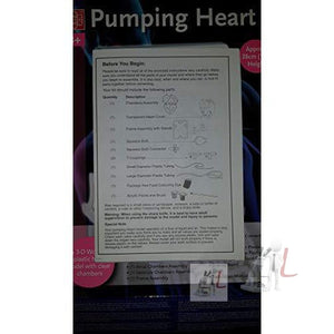 Pumping Heart Model - Laboratorydeal