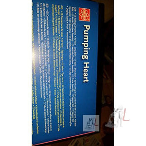 Pumping Heart Model - Laboratorydeal