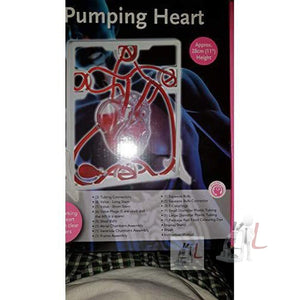 Pumping Heart Model - Laboratorydeal