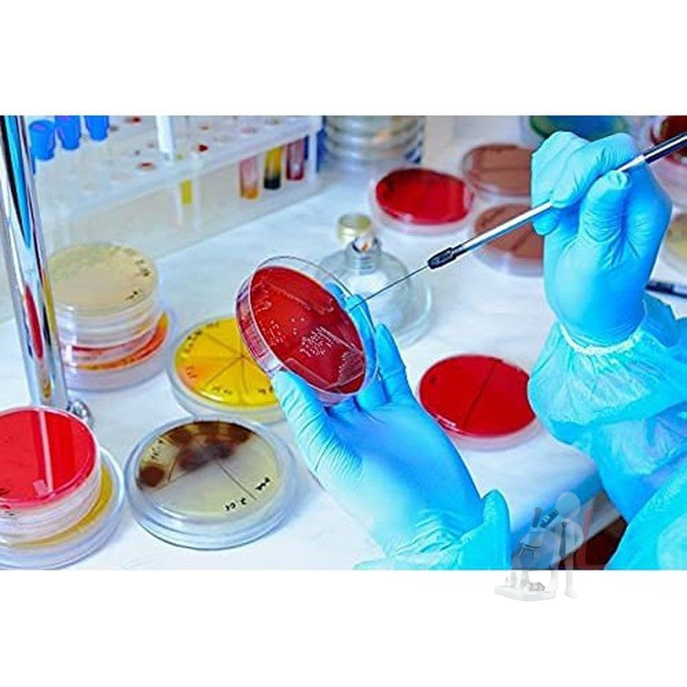 SPYLX High Quality Borosilicate Glass Petri dish - 100 mm Pack of 5 - Laboratorydeal